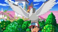 Ash's Tranquill as it appears in the anime (Image via The Pokemon Company)